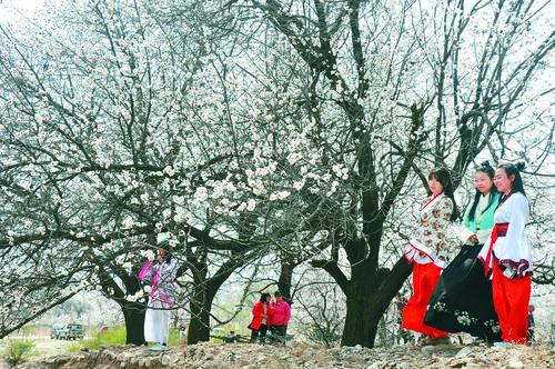捷报比分免费下载APP界面预览